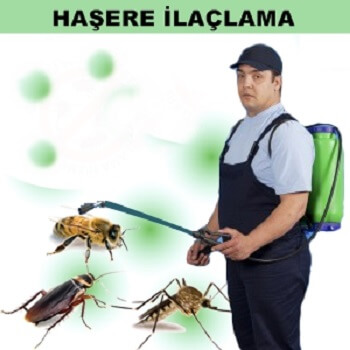 Azdavay Böcek İlaçlama